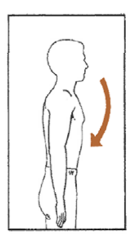 <p>Describe this motion </p>