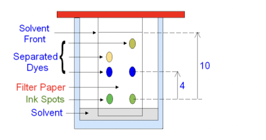 <p>Rf : distance moved by pigment / distance move by the solvent </p><p>e.g. blue dot is 4/10 = 0.4</p>