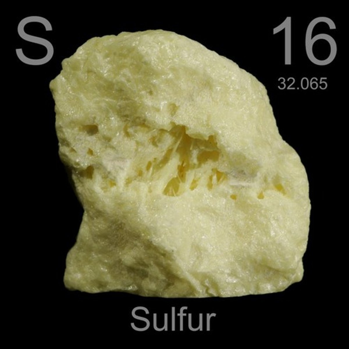 <p>S</p>