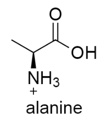 <p><strong>amine group gains a proton.</strong><span> The amino group has a positive charge; the overall molecule thus has a net charge of +1.</span></p>