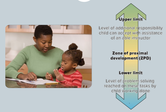 <p>Vygotsky’s zone of proximal development has a lower limit and an upper limit. Tasks in the ZPD are too difficult for the child to perform alone. They require assistance from an adult or a more-skilled child. As children experience the verbal instruction or demonstration, they organize the information in their existing mental structures so that they can eventually perform the skill or task alone.</p>