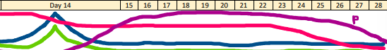 <p>Days 14-28 of the ovarian cycle, where progesterone dominates </p><p>-Corpus luteum secretes progesterone and estrogen to maintain the endometrial lining, then switches back to negative feedback</p><p>-Ovum travels through fallopian tube to the uterus. If it is not fertilized, the corpus luteum inovulates (corpus albicans) and the cycle starts over </p>