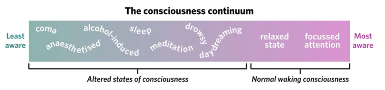 <p>A visual representation of the different states of consciousness that progress from lower levels of awareness to higher levels of awareness.</p>