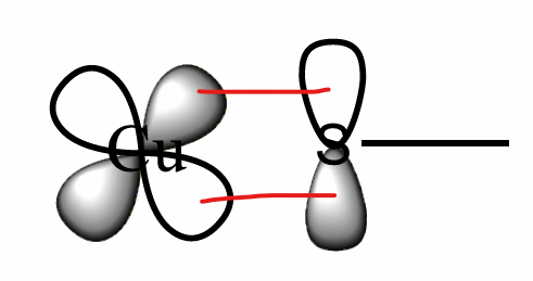 <p>They use the entaic state, and the copper atom is coordinated typically by two Histidine residues (a borderline HSAB), one methionine and one cystenate (soft).</p><ul><li><p>This delocalises the electrons.</p></li></ul><p></p>