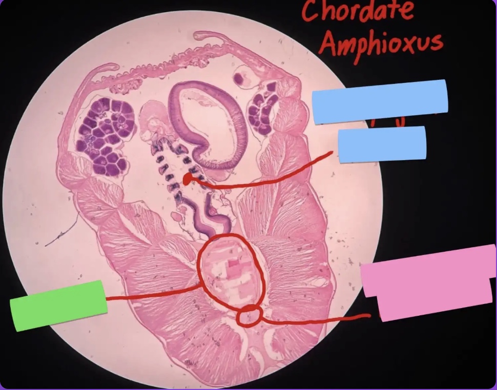 <p>What does the blue box represent?</p>