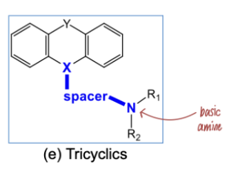 <p>tricyclic ring system </p>