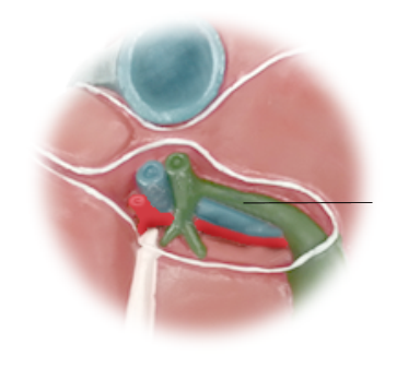 <p><span>Name the structure</span></p>