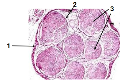 <p>Slide 39</p>