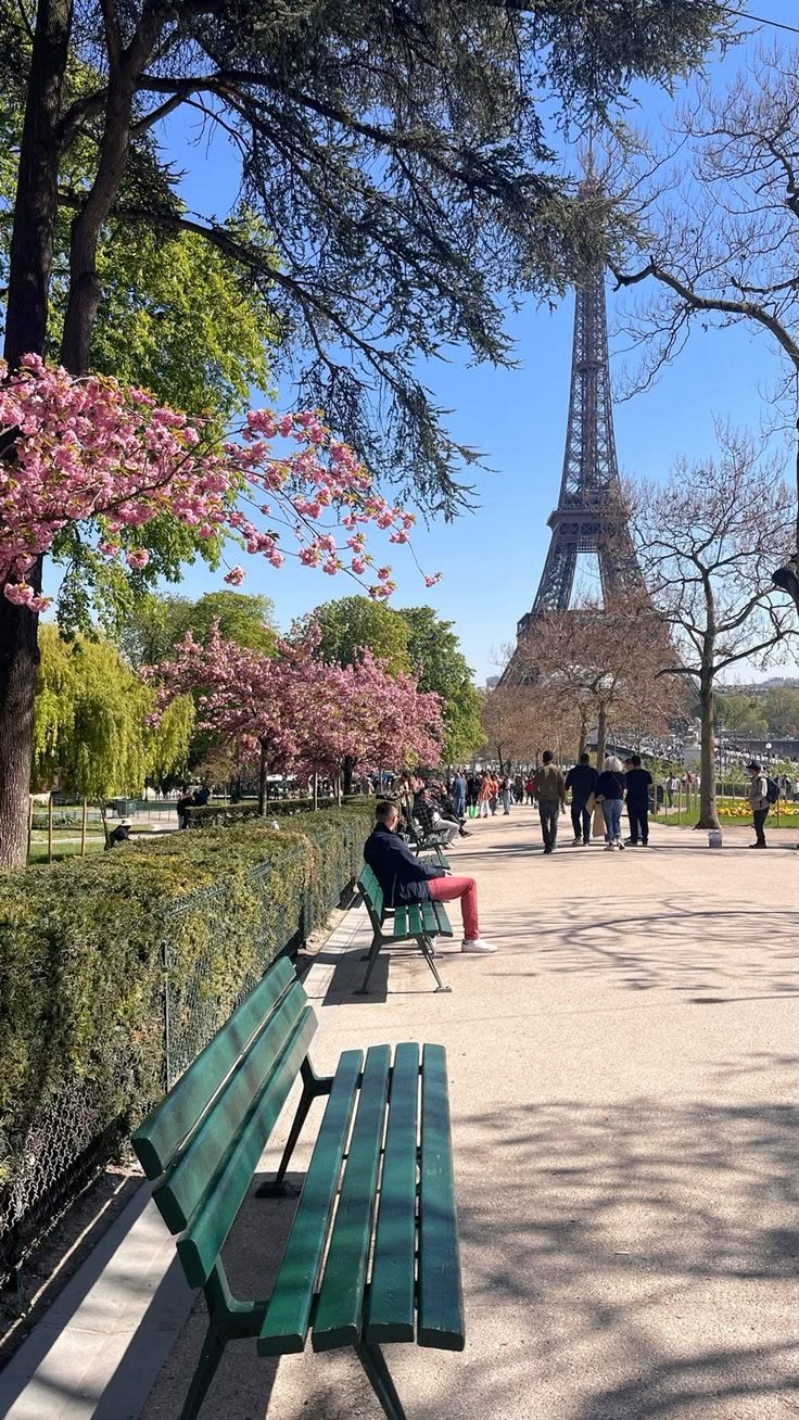 <p>Paris has so many beautiful <strong>sights</strong> to explore.</p>