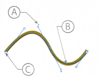 <p><span>Identify the following items labeled on the image. </span></p>