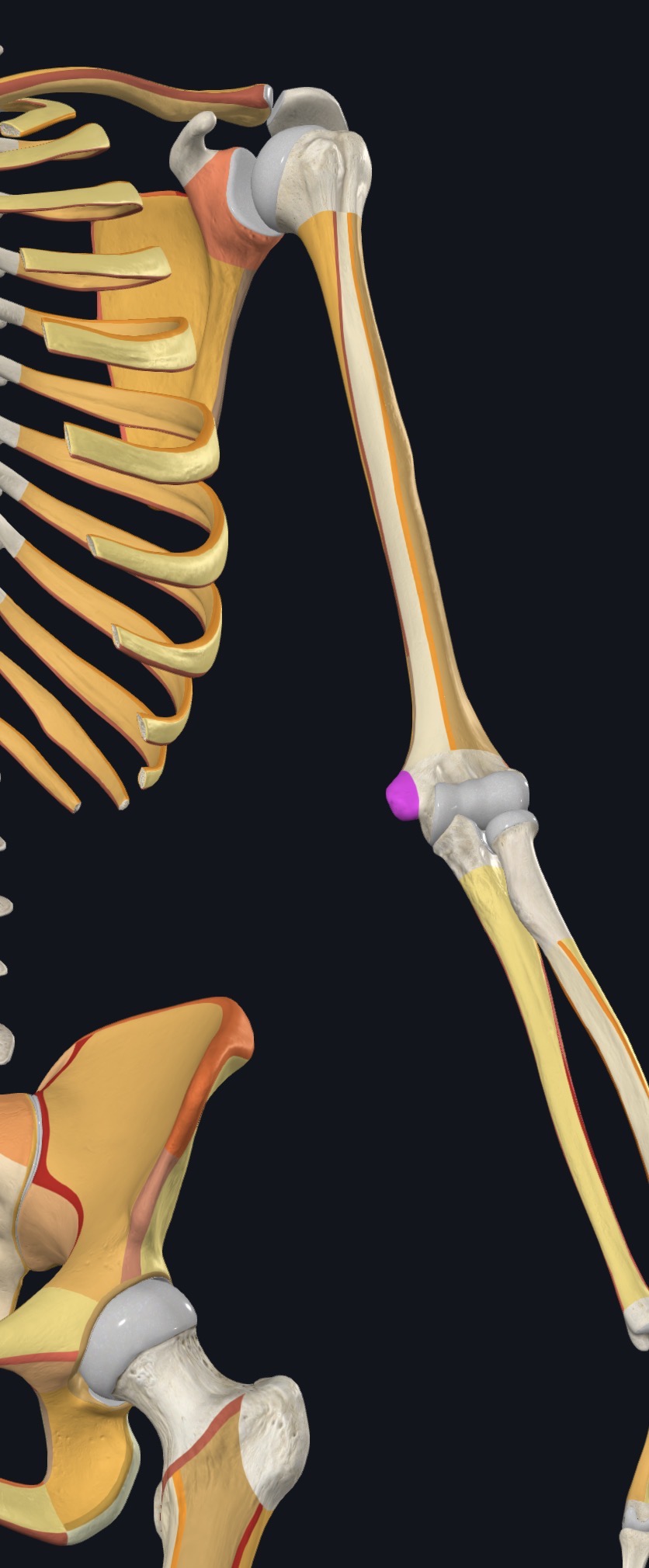 <p>what is this?</p>