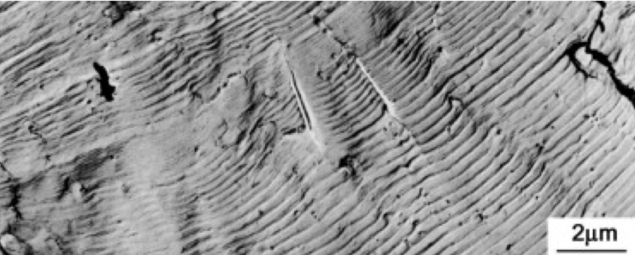 <p><strong>1. Analyze the fractography and identify the features</strong><br><strong>2. Explain the failure mechanism</strong><br><strong>3. What information can you extract from these waves?</strong></p>