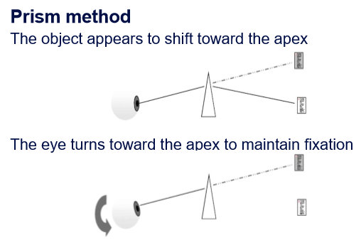 <ul><li><p>prism bends light towards the base</p></li><li><p>object appears to shift toward apex </p></li><li><p>eye turns toward the apex to maintain fixation</p></li></ul><p></p>