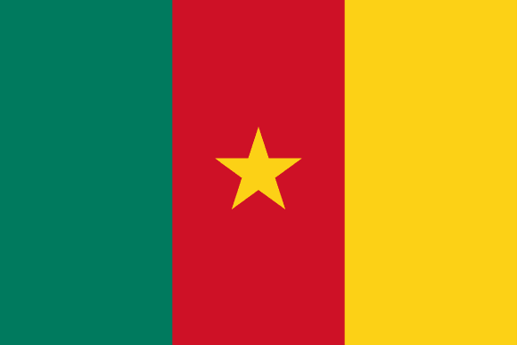 <p> </p>