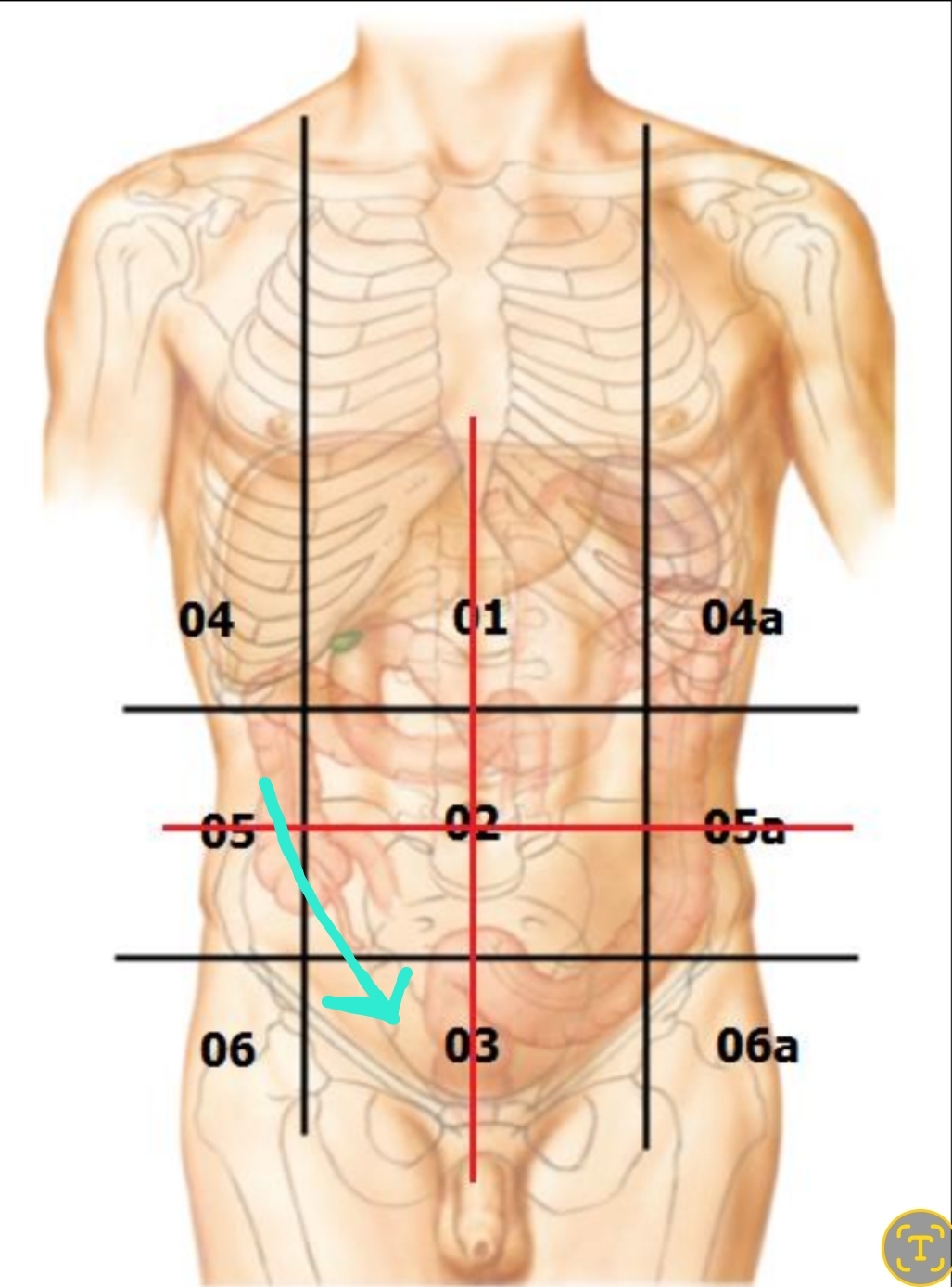 <p>Qual é o nome?</p>