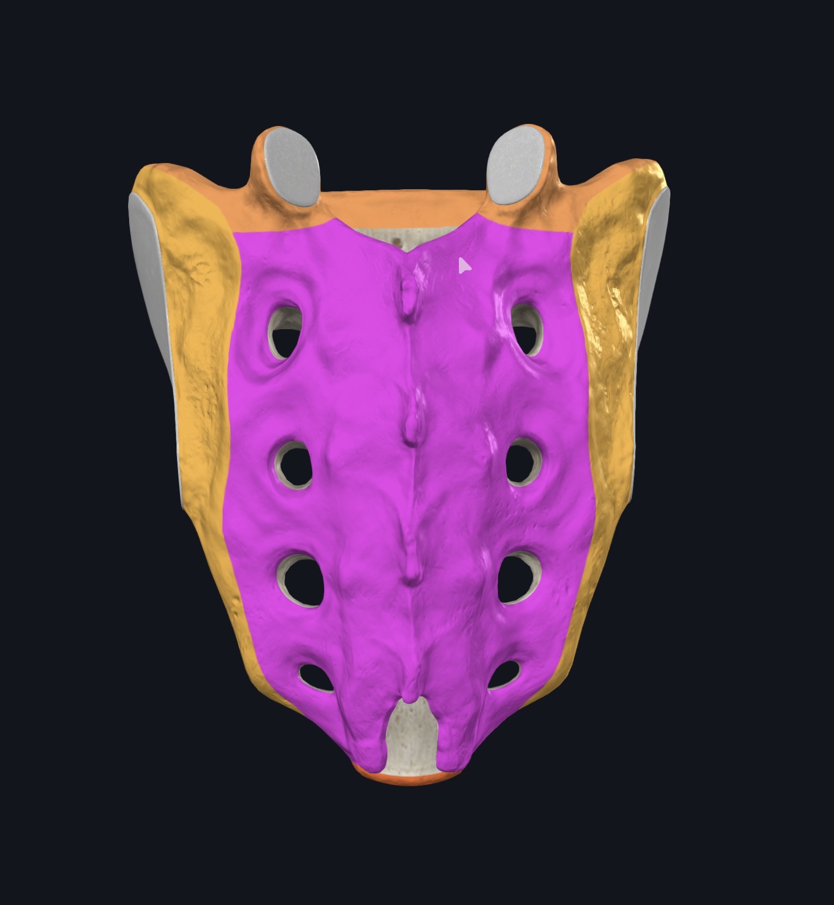 <p>¿Qué es esto?</p>