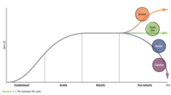 <p>1. Establishment</p><p>2. Growth </p><p>3. Maturity</p><p>4. Post-maturity</p>