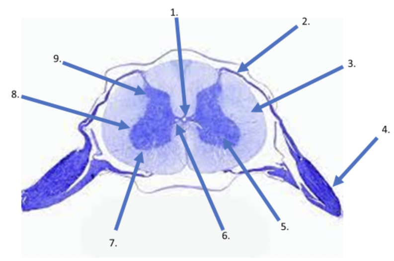 <p>What is the name of the canal in #1?</p>