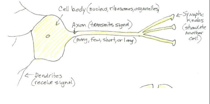 knowt flashcard image