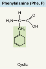 <p>Cyclic</p>