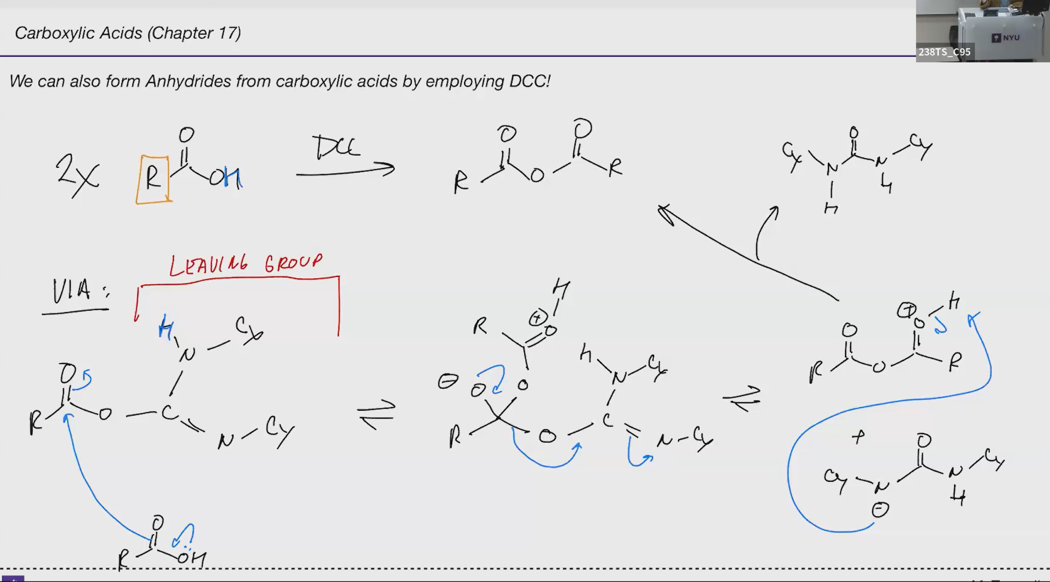 <p>Anhydride DDC</p>