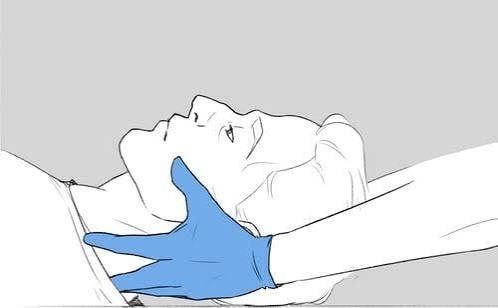 <p>name the c-spine grip</p>