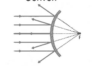 <p>What is a convex mirror?</p>