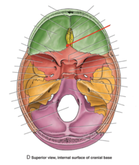<p>What is the red arrow pointing to?</p>