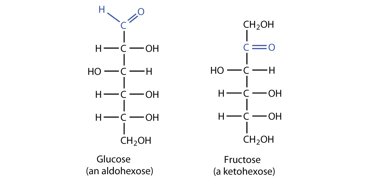 <p>monosaccharride with carbonyl (C=O) in middle of carbons skeleton</p>