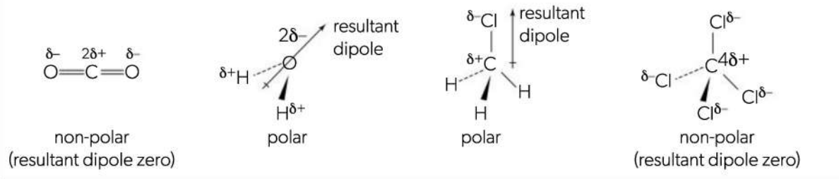 <p>More electronegative atoms exert greater attraction for electron pair(s)</p><p>One end of the bond will be more electron rich, resulting in bond dipole (polar bond)</p><p>Put number behind the atom with positive pole for how many bonds its pulling electrons with. E.g. NH<sub>3</sub> would have Nitrogen with 3§+</p><p>Shape can also cause polarity.</p>