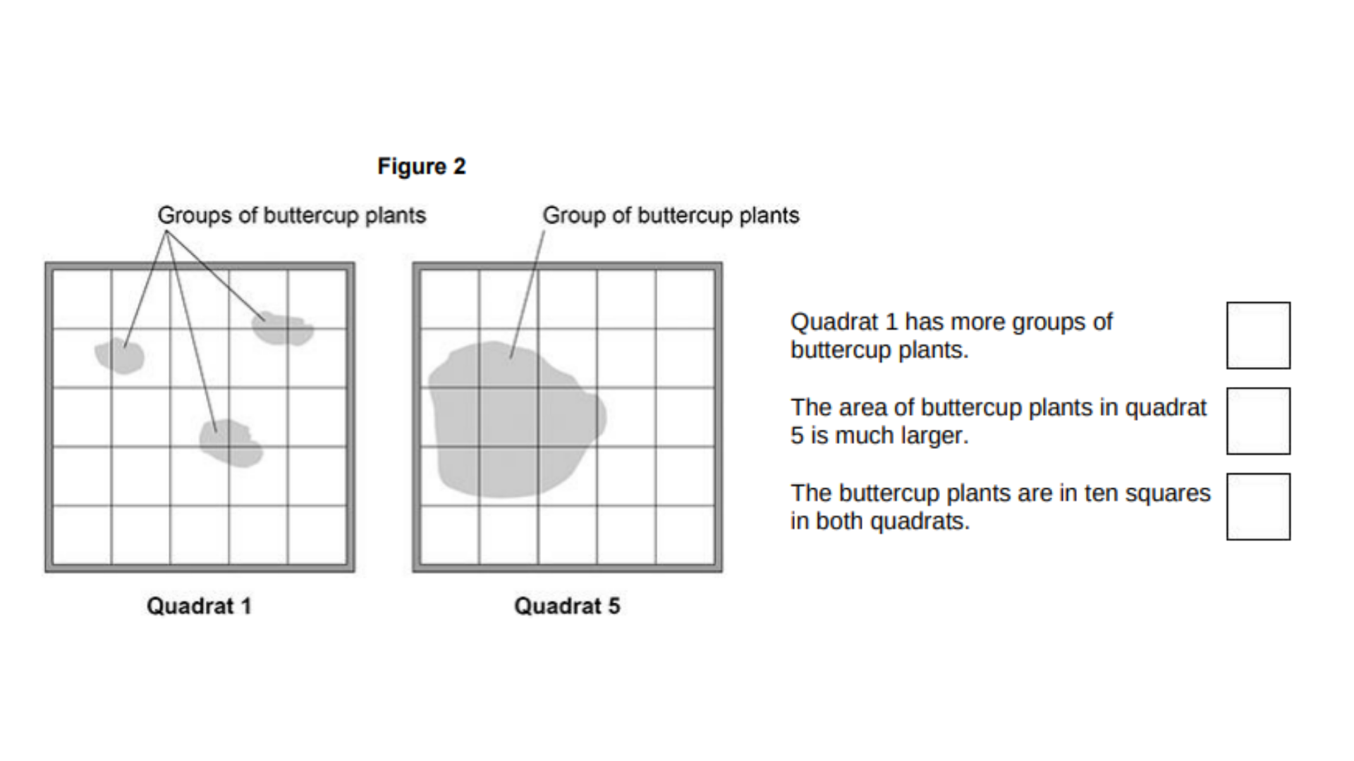 <ul><li><p>A student estimated the percentage cover of buttercup plants in a field.</p></li><li><p>The student used a quadrat.</p></li><li><p>The student calculated the percentage cover of buttercup plants for each quadrat.</p></li><li><p>The table below shows the student’s results.</p></li></ul><table style="min-width: 75px;"><colgroup><col style="min-width: 25px;"><col style="min-width: 25px;"><col style="min-width: 25px;"></colgroup><tbody><tr><td colspan="1" rowspan="1" style="animation: auto ease 0s 1 normal none running none; appearance: none; background: none 0% 0% / auto repeat scroll padding-box border-box rgb(239, 239, 239); inset: auto; clear: none; clip: auto; columns: auto; contain: none; container: none; content: normal; cursor: auto; cx: 0px; cy: 0px; d: none; direction: ltr; display: table-cell; fill: rgb(0, 0, 0); filter: none; flex: 0 1 auto; float: none; gap: normal; hyphens: manual; interactivity: auto; isolation: auto; margin-right: 0px; margin-bottom: 0px; margin-left: 0px; marker: none; mask: none; offset: normal; opacity: 1; order: 0; orphans: 2; outline: rgb(31, 31, 31) none 0px; overlay: none; padding: 16px 12px 16px 0px; page: auto; perspective: none; position: static; quotes: auto; r: 0px; resize: none; rotate: none; rx: auto; ry: auto; scale: none; speak: normal; stroke: none; transform: none; transition: all; translate: none; visibility: visible; widows: 2; x: 0px; y: 0px; zoom: 1; border: 1px solid; margin-top: 0px !important;"><p><span style="color: rgb(0, 0, 0);"><strong>Quadrat number</strong></span></p></td><td colspan="1" rowspan="1" style="animation: auto ease 0s 1 normal none running none; appearance: none; background: none 0% 0% / auto repeat scroll padding-box border-box rgb(239, 239, 239); inset: auto; clear: none; clip: auto; columns: auto; contain: none; container: none; content: normal; cursor: auto; cx: 0px; cy: 0px; d: none; direction: ltr; display: table-cell; fill: rgb(0, 0, 0); filter: none; flex: 0 1 auto; float: none; gap: normal; hyphens: manual; interactivity: auto; isolation: auto; margin-right: 0px; margin-bottom: 0px; margin-left: 0px; marker: none; mask: none; offset: normal; opacity: 1; order: 0; orphans: 2; outline: rgb(31, 31, 31) none 0px; overlay: none; padding: 16px 12px 16px 0px; page: auto; perspective: none; position: static; quotes: auto; r: 0px; resize: none; rotate: none; rx: auto; ry: auto; scale: none; speak: normal; stroke: none; transform: none; transition: all; translate: none; visibility: visible; widows: 2; x: 0px; y: 0px; zoom: 1; border: 1px solid; margin-top: 0px !important;"><p><span style="color: rgb(0, 0, 0);"><strong>Number of squares containing buttercup plants</strong></span></p></td><td colspan="1" rowspan="1" style="animation: auto ease 0s 1 normal none running none; appearance: none; background: none 0% 0% / auto repeat scroll padding-box border-box rgb(239, 239, 239); inset: auto; clear: none; clip: auto; columns: auto; contain: none; container: none; content: normal; cursor: auto; cx: 0px; cy: 0px; d: none; direction: ltr; display: table-cell; fill: rgb(0, 0, 0); filter: none; flex: 0 1 auto; float: none; gap: normal; hyphens: manual; interactivity: auto; isolation: auto; margin-right: 0px; margin-bottom: 0px; margin-left: 0px; marker: none; mask: none; offset: normal; opacity: 1; order: 0; orphans: 2; outline: rgb(31, 31, 31) none 0px; overlay: none; padding: 16px 0px; page: auto; perspective: none; position: static; quotes: auto; r: 0px; resize: none; rotate: none; rx: auto; ry: auto; scale: none; speak: normal; stroke: none; transform: none; transition: all; translate: none; visibility: visible; widows: 2; x: 0px; y: 0px; zoom: 1; border: 1px solid; margin-top: 0px !important;"><p><span style="color: rgb(0, 0, 0);"><strong>Percentage cover of buttercup plants</strong></span></p></td></tr><tr><td colspan="1" rowspan="1" style="animation: auto ease 0s 1 normal none running none; appearance: none; background: none 0% 0% / auto repeat scroll padding-box border-box rgba(0, 0, 0, 0); inset: auto; clear: none; clip: auto; columns: auto; contain: none; container: none; content: normal; cursor: auto; cx: 0px; cy: 0px; d: none; direction: ltr; display: table-cell; fill: rgb(0, 0, 0); filter: none; flex: 0 1 auto; float: none; gap: normal; hyphens: manual; interactivity: auto; isolation: auto; margin-right: 0px; margin-bottom: 0px; margin-left: 0px; marker: none; mask: none; offset: normal; opacity: 1; order: 0; orphans: 2; outline: rgb(31, 31, 31) none 0px; overlay: none; padding: 16px 12px 16px 0px; page: auto; perspective: none; position: static; quotes: auto; r: 0px; resize: none; rotate: none; rx: auto; ry: auto; scale: none; speak: normal; stroke: none; transform: none; transition: all; translate: none; visibility: visible; widows: 2; x: 0px; y: 0px; zoom: 1; border: 1px solid; margin-top: 0px !important;"><p><span style="background-color: rgba(0, 0, 0, 0);">1</span></p></td><td colspan="1" rowspan="1" style="animation: auto ease 0s 1 normal none running none; appearance: none; background: none 0% 0% / auto repeat scroll padding-box border-box rgba(0, 0, 0, 0); inset: auto; clear: none; clip: auto; columns: auto; contain: none; container: none; content: normal; cursor: auto; cx: 0px; cy: 0px; d: none; direction: ltr; display: table-cell; fill: rgb(0, 0, 0); filter: none; flex: 0 1 auto; float: none; gap: normal; hyphens: manual; interactivity: auto; isolation: auto; margin-right: 0px; margin-bottom: 0px; margin-left: 0px; marker: none; mask: none; offset: normal; opacity: 1; order: 0; orphans: 2; outline: rgb(31, 31, 31) none 0px; overlay: none; padding: 16px 12px 16px 0px; page: auto; perspective: none; position: static; quotes: auto; r: 0px; resize: none; rotate: none; rx: auto; ry: auto; scale: none; speak: normal; stroke: none; transform: none; transition: all; translate: none; visibility: visible; widows: 2; x: 0px; y: 0px; zoom: 1; border: 1px solid; margin-top: 0px !important;"><p><span style="background-color: rgba(0, 0, 0, 0);">10</span></p></td><td colspan="1" rowspan="1" style="animation: auto ease 0s 1 normal none running none; appearance: none; background: none 0% 0% / auto repeat scroll padding-box border-box rgba(0, 0, 0, 0); inset: auto; clear: none; clip: auto; columns: auto; contain: none; container: none; content: normal; cursor: auto; cx: 0px; cy: 0px; d: none; direction: ltr; display: table-cell; fill: rgb(0, 0, 0); filter: none; flex: 0 1 auto; float: none; gap: normal; hyphens: manual; interactivity: auto; isolation: auto; margin-right: 0px; margin-bottom: 0px; margin-left: 0px; marker: none; mask: none; offset: normal; opacity: 1; order: 0; orphans: 2; outline: rgb(31, 31, 31) none 0px; overlay: none; padding: 16px 0px; page: auto; perspective: none; position: static; quotes: auto; r: 0px; resize: none; rotate: none; rx: auto; ry: auto; scale: none; speak: normal; stroke: none; transform: none; transition: all; translate: none; visibility: visible; widows: 2; x: 0px; y: 0px; zoom: 1; border: 1px solid; margin-top: 0px !important;"><p><span style="background-color: rgba(0, 0, 0, 0);">40</span></p></td></tr><tr><td colspan="1" rowspan="1" style="animation: auto ease 0s 1 normal none running none; appearance: none; background: none 0% 0% / auto repeat scroll padding-box border-box rgba(0, 0, 0, 0); inset: auto; clear: none; clip: auto; columns: auto; contain: none; container: none; content: normal; cursor: auto; cx: 0px; cy: 0px; d: none; direction: ltr; display: table-cell; fill: rgb(0, 0, 0); filter: none; flex: 0 1 auto; float: none; gap: normal; hyphens: manual; interactivity: auto; isolation: auto; margin-right: 0px; margin-bottom: 0px; margin-left: 0px; marker: none; mask: none; offset: normal; opacity: 1; order: 0; orphans: 2; outline: rgb(31, 31, 31) none 0px; overlay: none; padding: 16px 12px 16px 0px; page: auto; perspective: none; position: static; quotes: auto; r: 0px; resize: none; rotate: none; rx: auto; ry: auto; scale: none; speak: normal; stroke: none; transform: none; transition: all; translate: none; visibility: visible; widows: 2; x: 0px; y: 0px; zoom: 1; border: 1px solid; margin-top: 0px !important;"><p><span style="background-color: rgba(0, 0, 0, 0);">2</span></p></td><td colspan="1" rowspan="1" style="animation: auto ease 0s 1 normal none running none; appearance: none; background: none 0% 0% / auto repeat scroll padding-box border-box rgba(0, 0, 0, 0); inset: auto; clear: none; clip: auto; columns: auto; contain: none; container: none; content: normal; cursor: auto; cx: 0px; cy: 0px; d: none; direction: ltr; display: table-cell; fill: rgb(0, 0, 0); filter: none; flex: 0 1 auto; float: none; gap: normal; hyphens: manual; interactivity: auto; isolation: auto; margin-right: 0px; margin-bottom: 0px; margin-left: 0px; marker: none; mask: none; offset: normal; opacity: 1; order: 0; orphans: 2; outline: rgb(31, 31, 31) none 0px; overlay: none; padding: 16px 12px 16px 0px; page: auto; perspective: none; position: static; quotes: auto; r: 0px; resize: none; rotate: none; rx: auto; ry: auto; scale: none; speak: normal; stroke: none; transform: none; transition: all; translate: none; visibility: visible; widows: 2; x: 0px; y: 0px; zoom: 1; border: 1px solid; margin-top: 0px !important;"><p><span style="background-color: rgba(0, 0, 0, 0);">13</span></p></td><td colspan="1" rowspan="1" style="animation: auto ease 0s 1 normal none running none; appearance: none; background: none 0% 0% / auto repeat scroll padding-box border-box rgba(0, 0, 0, 0); inset: auto; clear: none; clip: auto; columns: auto; contain: none; container: none; content: normal; cursor: auto; cx: 0px; cy: 0px; d: none; direction: ltr; display: table-cell; fill: rgb(0, 0, 0); filter: none; flex: 0 1 auto; float: none; gap: normal; hyphens: manual; interactivity: auto; isolation: auto; margin-right: 0px; margin-bottom: 0px; margin-left: 0px; marker: none; mask: none; offset: normal; opacity: 1; order: 0; orphans: 2; outline: rgb(31, 31, 31) none 0px; overlay: none; padding: 16px 0px; page: auto; perspective: none; position: static; quotes: auto; r: 0px; resize: none; rotate: none; rx: auto; ry: auto; scale: none; speak: normal; stroke: none; transform: none; transition: all; translate: none; visibility: visible; widows: 2; x: 0px; y: 0px; zoom: 1; border: 1px solid; margin-top: 0px !important;"><p><span style="background-color: rgba(0, 0, 0, 0);">52</span></p></td></tr><tr><td colspan="1" rowspan="1" style="animation: auto ease 0s 1 normal none running none; appearance: none; background: none 0% 0% / auto repeat scroll padding-box border-box rgba(0, 0, 0, 0); inset: auto; clear: none; clip: auto; columns: auto; contain: none; container: none; content: normal; cursor: auto; cx: 0px; cy: 0px; d: none; direction: ltr; display: table-cell; fill: rgb(0, 0, 0); filter: none; flex: 0 1 auto; float: none; gap: normal; hyphens: manual; interactivity: auto; isolation: auto; margin-right: 0px; margin-bottom: 0px; margin-left: 0px; marker: none; mask: none; offset: normal; opacity: 1; order: 0; orphans: 2; outline: rgb(31, 31, 31) none 0px; overlay: none; padding: 16px 12px 16px 0px; page: auto; perspective: none; position: static; quotes: auto; r: 0px; resize: none; rotate: none; rx: auto; ry: auto; scale: none; speak: normal; stroke: none; transform: none; transition: all; translate: none; visibility: visible; widows: 2; x: 0px; y: 0px; zoom: 1; border: 1px solid; margin-top: 0px !important;"><p><span style="background-color: rgba(0, 0, 0, 0);">3</span></p></td><td colspan="1" rowspan="1" style="animation: auto ease 0s 1 normal none running none; appearance: none; background: none 0% 0% / auto repeat scroll padding-box border-box rgba(0, 0, 0, 0); inset: auto; clear: none; clip: auto; columns: auto; contain: none; container: none; content: normal; cursor: auto; cx: 0px; cy: 0px; d: none; direction: ltr; display: table-cell; fill: rgb(0, 0, 0); filter: none; flex: 0 1 auto; float: none; gap: normal; hyphens: manual; interactivity: auto; isolation: auto; margin-right: 0px; margin-bottom: 0px; margin-left: 0px; marker: none; mask: none; offset: normal; opacity: 1; order: 0; orphans: 2; outline: rgb(31, 31, 31) none 0px; overlay: none; padding: 16px 12px 16px 0px; page: auto; perspective: none; position: static; quotes: auto; r: 0px; resize: none; rotate: none; rx: auto; ry: auto; scale: none; speak: normal; stroke: none; transform: none; transition: all; translate: none; visibility: visible; widows: 2; x: 0px; y: 0px; zoom: 1; border: 1px solid; margin-top: 0px !important;"><p><span style="background-color: rgba(0, 0, 0, 0);">22</span></p></td><td colspan="1" rowspan="1" style="animation: auto ease 0s 1 normal none running none; appearance: none; background: none 0% 0% / auto repeat scroll padding-box border-box rgba(0, 0, 0, 0); inset: auto; clear: none; clip: auto; columns: auto; contain: none; container: none; content: normal; cursor: auto; cx: 0px; cy: 0px; d: none; direction: ltr; display: table-cell; fill: rgb(0, 0, 0); filter: none; flex: 0 1 auto; float: none; gap: normal; hyphens: manual; interactivity: auto; isolation: auto; margin-right: 0px; margin-bottom: 0px; margin-left: 0px; marker: none; mask: none; offset: normal; opacity: 1; order: 0; orphans: 2; outline: rgb(31, 31, 31) none 0px; overlay: none; padding: 16px 0px; page: auto; perspective: none; position: static; quotes: auto; r: 0px; resize: none; rotate: none; rx: auto; ry: auto; scale: none; speak: normal; stroke: none; transform: none; transition: all; translate: none; visibility: visible; widows: 2; x: 0px; y: 0px; zoom: 1; border: 1px solid; margin-top: 0px !important;"><p><span style="background-color: rgba(0, 0, 0, 0);">88</span></p></td></tr><tr><td colspan="1" rowspan="1" style="animation: auto ease 0s 1 normal none running none; appearance: none; background: none 0% 0% / auto repeat scroll padding-box border-box rgba(0, 0, 0, 0); inset: auto; clear: none; clip: auto; columns: auto; contain: none; container: none; content: normal; cursor: auto; cx: 0px; cy: 0px; d: none; direction: ltr; display: table-cell; fill: rgb(0, 0, 0); filter: none; flex: 0 1 auto; float: none; gap: normal; hyphens: manual; interactivity: auto; isolation: auto; margin-right: 0px; margin-bottom: 0px; margin-left: 0px; marker: none; mask: none; offset: normal; opacity: 1; order: 0; orphans: 2; outline: rgb(31, 31, 31) none 0px; overlay: none; padding: 16px 12px 16px 0px; page: auto; perspective: none; position: static; quotes: auto; r: 0px; resize: none; rotate: none; rx: auto; ry: auto; scale: none; speak: normal; stroke: none; transform: none; transition: all; translate: none; visibility: visible; widows: 2; x: 0px; y: 0px; zoom: 1; border: 1px solid; margin-top: 0px !important;"><p><span style="background-color: rgba(0, 0, 0, 0);">4</span></p></td><td colspan="1" rowspan="1" style="animation: auto ease 0s 1 normal none running none; appearance: none; background: none 0% 0% / auto repeat scroll padding-box border-box rgba(0, 0, 0, 0); inset: auto; clear: none; clip: auto; columns: auto; contain: none; container: none; content: normal; cursor: auto; cx: 0px; cy: 0px; d: none; direction: ltr; display: table-cell; fill: rgb(0, 0, 0); filter: none; flex: 0 1 auto; float: none; gap: normal; hyphens: manual; interactivity: auto; isolation: auto; margin-right: 0px; margin-bottom: 0px; margin-left: 0px; marker: none; mask: none; offset: normal; opacity: 1; order: 0; orphans: 2; outline: rgb(31, 31, 31) none 0px; overlay: none; padding: 16px 12px 16px 0px; page: auto; perspective: none; position: static; quotes: auto; r: 0px; resize: none; rotate: none; rx: auto; ry: auto; scale: none; speak: normal; stroke: none; transform: none; transition: all; translate: none; visibility: visible; widows: 2; x: 0px; y: 0px; zoom: 1; border: 1px solid; margin-top: 0px !important;"><p><span style="background-color: rgba(0, 0, 0, 0);">20</span></p></td><td colspan="1" rowspan="1" style="animation: auto ease 0s 1 normal none running none; appearance: none; background: none 0% 0% / auto repeat scroll padding-box border-box rgba(0, 0, 0, 0); inset: auto; clear: none; clip: auto; columns: auto; contain: none; container: none; content: normal; cursor: auto; cx: 0px; cy: 0px; d: none; direction: ltr; display: table-cell; fill: rgb(0, 0, 0); filter: none; flex: 0 1 auto; float: none; gap: normal; hyphens: manual; interactivity: auto; isolation: auto; margin-right: 0px; margin-bottom: 0px; margin-left: 0px; marker: none; mask: none; offset: normal; opacity: 1; order: 0; orphans: 2; outline: rgb(31, 31, 31) none 0px; overlay: none; padding: 16px 0px; page: auto; perspective: none; position: static; quotes: auto; r: 0px; resize: none; rotate: none; rx: auto; ry: auto; scale: none; speak: normal; stroke: none; transform: none; transition: all; translate: none; visibility: visible; widows: 2; x: 0px; y: 0px; zoom: 1; border: 1px solid; margin-top: 0px !important;"><p><span style="background-color: rgba(0, 0, 0, 0);">80</span></p></td></tr><tr><td colspan="1" rowspan="1" style="animation: auto ease 0s 1 normal none running none; appearance: none; background: none 0% 0% / auto repeat scroll padding-box border-box rgba(0, 0, 0, 0); inset: auto; clear: none; clip: auto; columns: auto; contain: none; container: none; content: normal; cursor: auto; cx: 0px; cy: 0px; d: none; direction: ltr; display: table-cell; fill: rgb(0, 0, 0); filter: none; flex: 0 1 auto; float: none; gap: normal; hyphens: manual; interactivity: auto; isolation: auto; margin-right: 0px; margin-bottom: 0px; margin-left: 0px; marker: none; mask: none; offset: normal; opacity: 1; order: 0; orphans: 2; outline: rgb(31, 31, 31) none 0px; overlay: none; padding: 16px 12px 16px 0px; page: auto; perspective: none; position: static; quotes: auto; r: 0px; resize: none; rotate: none; rx: auto; ry: auto; scale: none; speak: normal; stroke: none; transform: none; transition: all; translate: none; visibility: visible; widows: 2; x: 0px; y: 0px; zoom: 1; border: 1px solid; margin-top: 0px !important;"><p><span style="background-color: rgba(0, 0, 0, 0);">5</span></p></td><td colspan="1" rowspan="1" style="animation: auto ease 0s 1 normal none running none; appearance: none; background: none 0% 0% / auto repeat scroll padding-box border-box rgba(0, 0, 0, 0); inset: auto; clear: none; clip: auto; columns: auto; contain: none; container: none; content: normal; cursor: auto; cx: 0px; cy: 0px; d: none; direction: ltr; display: table-cell; fill: rgb(0, 0, 0); filter: none; flex: 0 1 auto; float: none; gap: normal; hyphens: manual; interactivity: auto; isolation: auto; margin-right: 0px; margin-bottom: 0px; margin-left: 0px; marker: none; mask: none; offset: normal; opacity: 1; order: 0; orphans: 2; outline: rgb(31, 31, 31) none 0px; overlay: none; padding: 16px 12px 16px 0px; page: auto; perspective: none; position: static; quotes: auto; r: 0px; resize: none; rotate: none; rx: auto; ry: auto; scale: none; speak: normal; stroke: none; transform: none; transition: all; translate: none; visibility: visible; widows: 2; x: 0px; y: 0px; zoom: 1; border: 1px solid; margin-top: 0px !important;"><p><span style="background-color: rgba(0, 0, 0, 0);">10</span></p></td><td colspan="1" rowspan="1" style="animation: auto ease 0s 1 normal none running none; appearance: none; background: none 0% 0% / auto repeat scroll padding-box border-box rgba(0, 0, 0, 0); inset: auto; clear: none; clip: auto; columns: auto; contain: none; container: none; content: normal; cursor: auto; cx: 0px; cy: 0px; d: none; direction: ltr; display: table-cell; fill: rgb(0, 0, 0); filter: none; flex: 0 1 auto; float: none; gap: normal; hyphens: manual; interactivity: auto; isolation: auto; margin-right: 0px; margin-bottom: 0px; margin-left: 0px; marker: none; mask: none; offset: normal; opacity: 1; order: 0; orphans: 2; outline: rgb(31, 31, 31) none 0px; overlay: none; padding: 16px 0px; page: auto; perspective: none; position: static; quotes: auto; r: 0px; resize: none; rotate: none; rx: auto; ry: auto; scale: none; speak: normal; stroke: none; transform: none; transition: all; translate: none; visibility: visible; widows: 2; x: 0px; y: 0px; zoom: 1; border: 1px solid; margin-top: 0px !important;"><p><span style="background-color: rgba(0, 0, 0, 0);">40</span></p></td></tr></tbody></table><ul><li><p>The table above shows that quadrat 1 and quadrat 5 each had 40% cover of buttercup plants.</p></li><li><p><strong>Figure 2</strong> shows the results for quadrat 1 and quadrat 5.</p></li><li><p>The student’s method of estimating the percentage cover of buttercup plants is not accurate.</p></li></ul><p>How does <strong>Figure 2</strong> show this? [1 mark]</p>