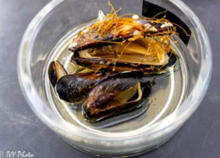 <p>Phylum &amp; name?</p>