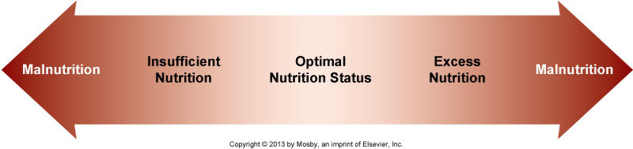 <p>science of optimal cellular metabolism and its impact on health and disease</p><p></p>