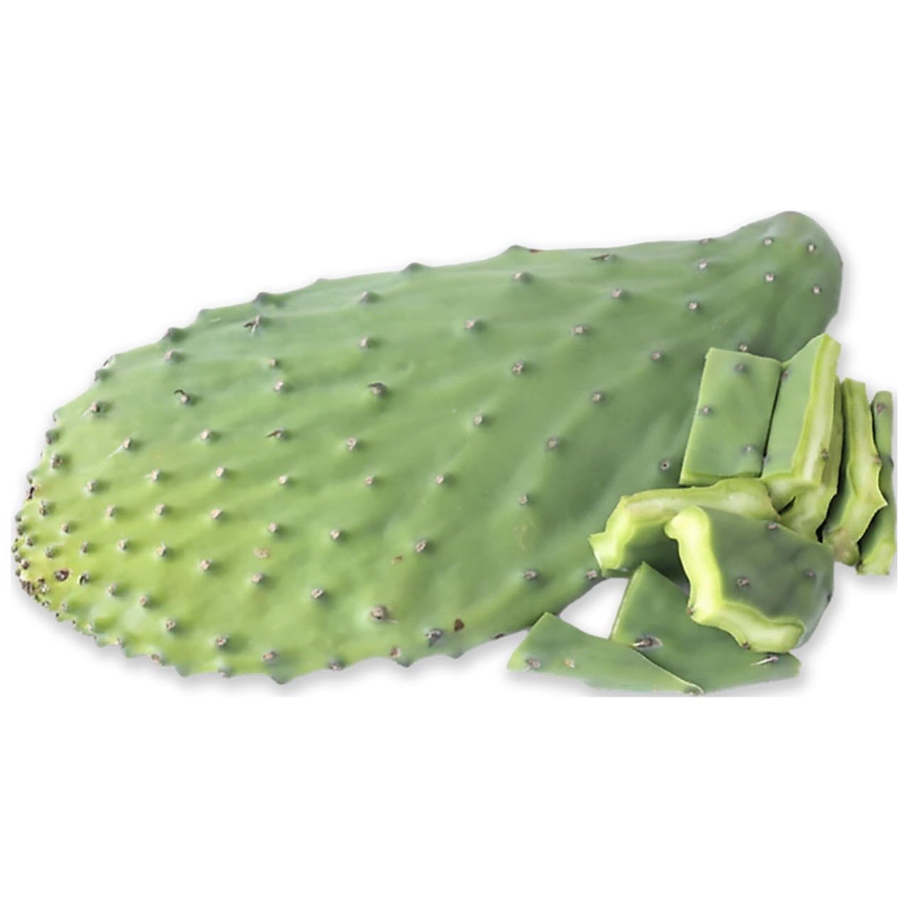 <p>Cactus leaves</p>