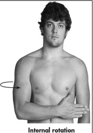 <p>Movement of humerus medially around its long axis toward midline </p><p>Transverse Plane</p>