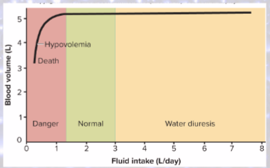 <p>kidneys so effective at excreting more urine to compensate for excess intake</p><p>renal failure can therefore cause fluid retention</p>