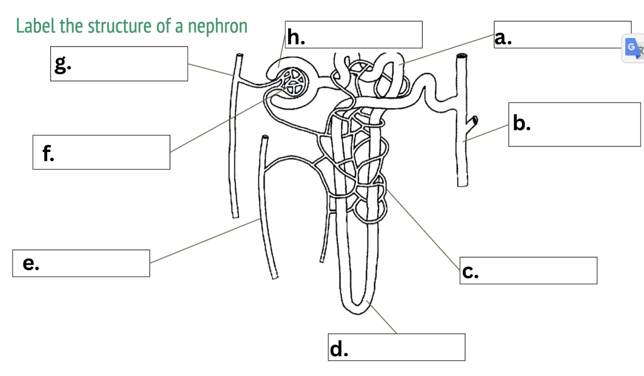 <p><br><span>finish the diagram</span></p>