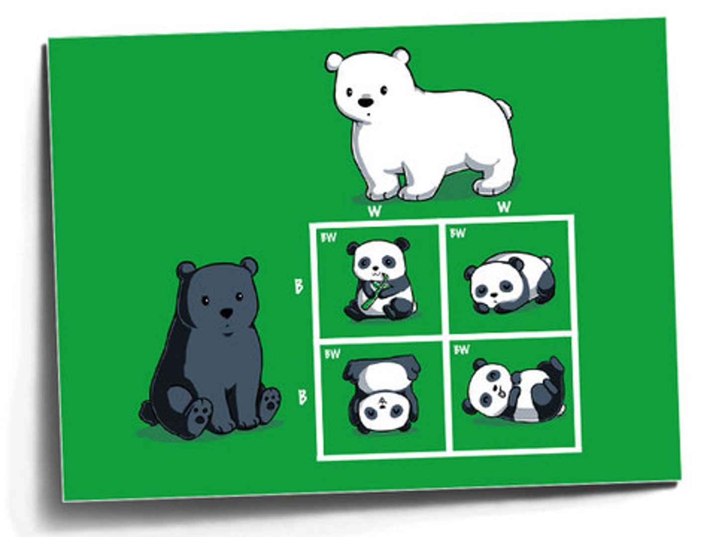 <p>Both traits are fully expressed at the same time (e.g., AB blood type).</p>