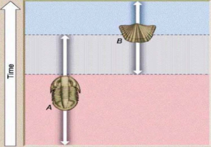 <p><span>Throughout the 18th century, scientists learned to recognize distinct layers of sedimentary rock based on their </span><strong>fossil assemblage</strong><span>, i.e., the group of fossil species that each layer contained. Which of the following options are correct regarding the figure below? (mark all that applies)</span></p>