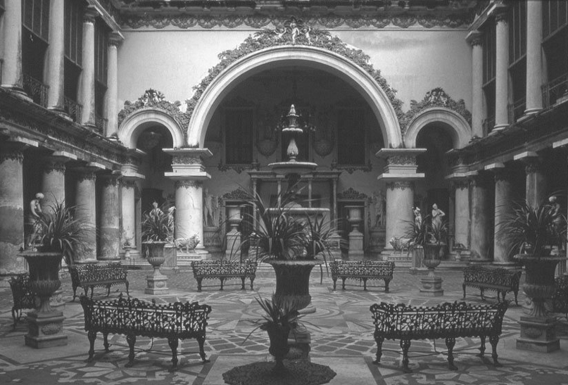 term image