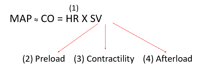 <p>MAP = CO = HR x SV</p>