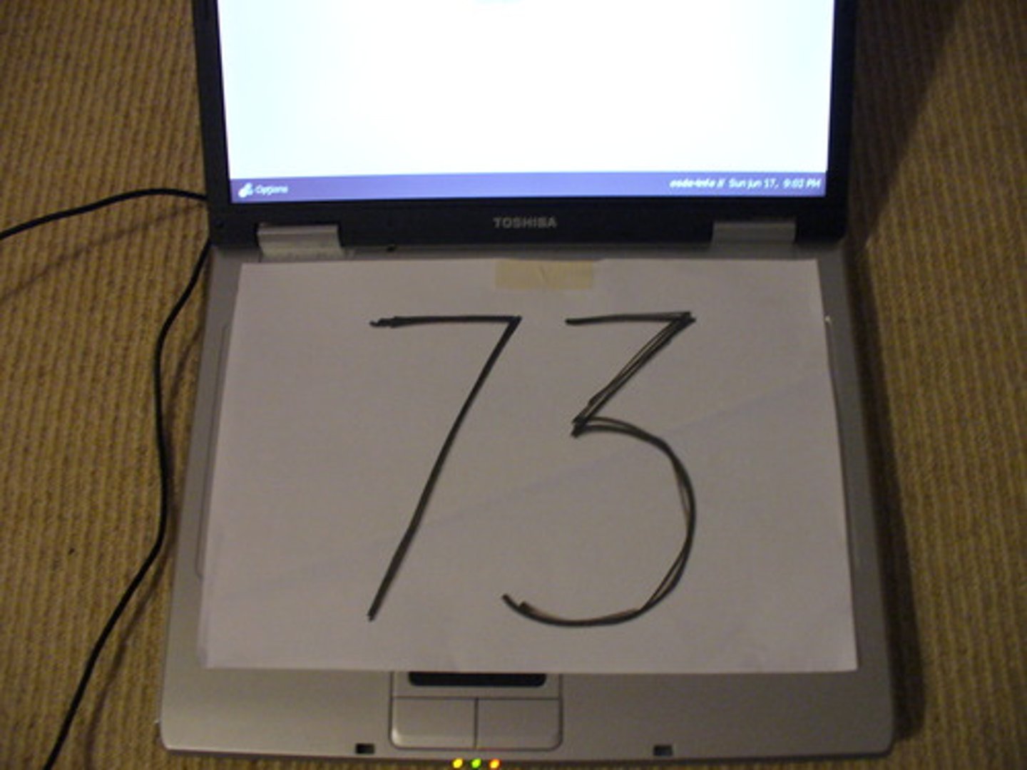 <p>73</p>