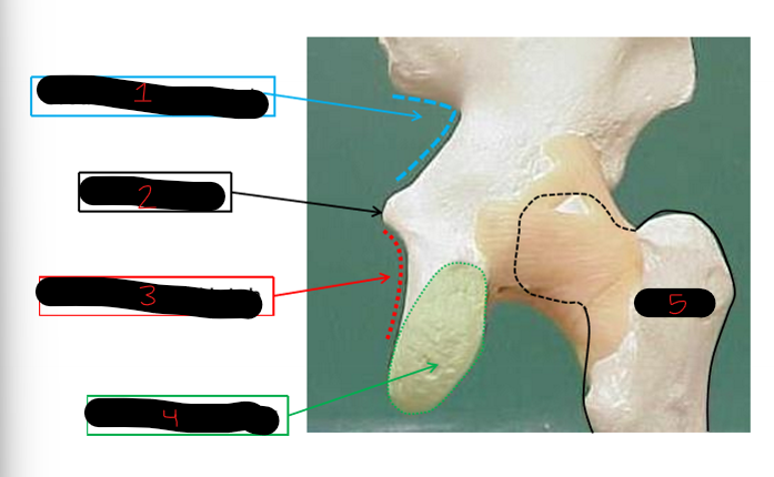 <p>4</p>