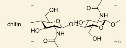 <p>polymer geometry?</p>