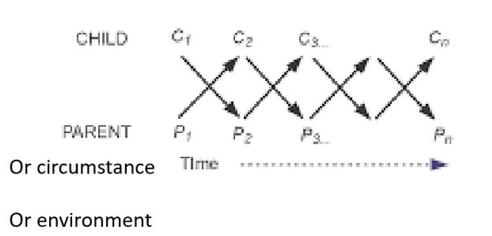 <p>Development is the result of an ongoing reciprocal transaction between the individual themself and the environment they’re in</p>