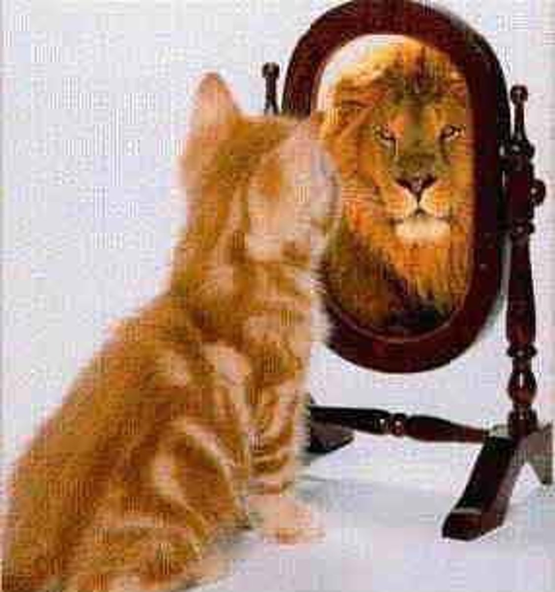 <p>to look oneself at a mirror, I, you, he looks..</p>