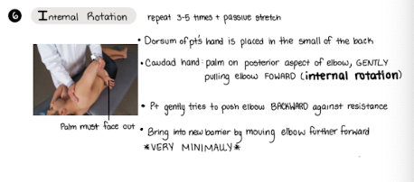 <p>internal rotation</p>