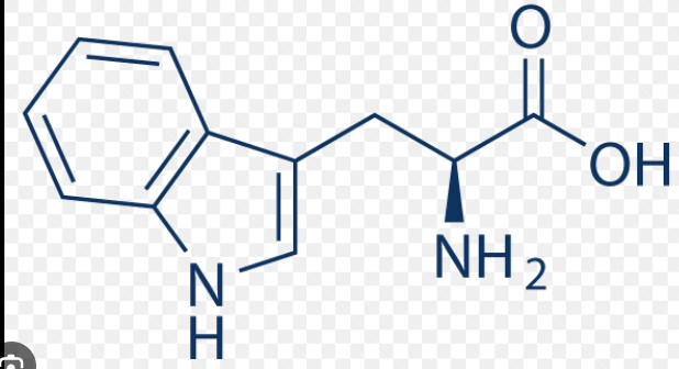 <p>name this amino acid</p>
