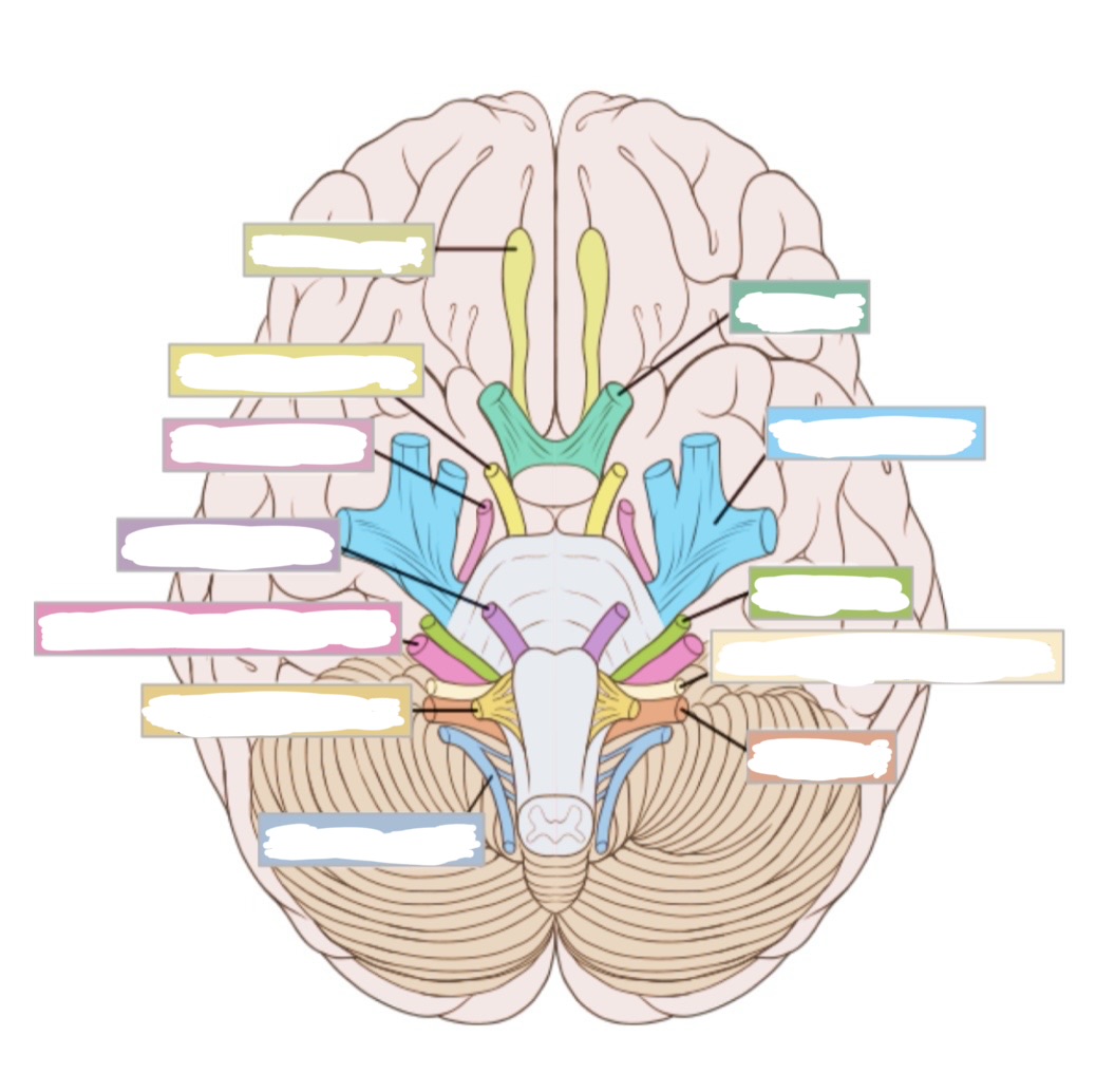 <p><a target="_blank" rel="noopener noreferrer nofollow" class="link" href="https://assets.knowt.com/user-attachments/5df4c787-441a-4084-905d-776563b517ac.jpg" data-prevent-progress="true">https://assets.knowt.com/user-attachments/5df4c787-441a-4084-905d-776563b517ac.jpg</a></p>
