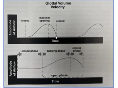 <p>volume of air flow thru the glottis as a function of time during phonation.</p><p>effeciency must be maintained </p>